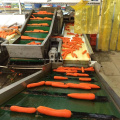 Factory Directly Supply Fresh Carrot